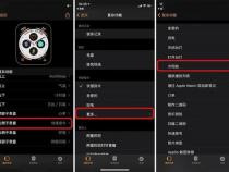苹果手表怎么记步数