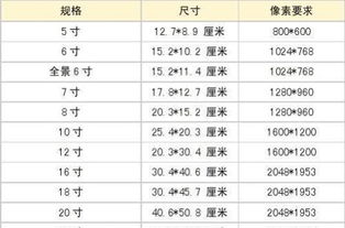 6英寸是多大