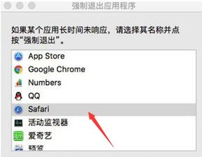 苹果电脑强制退出程序快捷键是什么