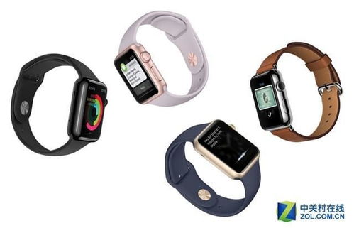 怎么查看apple watch电池循环