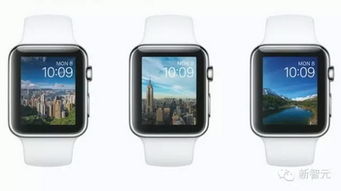 applewatch上有哪些好的可以看股票行情的app软件