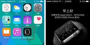 apple watch应用怎么删除