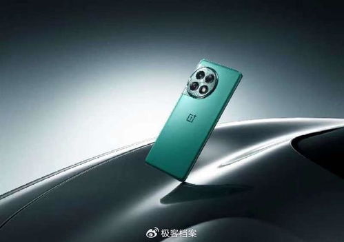 买1加ace2pro十大忠告