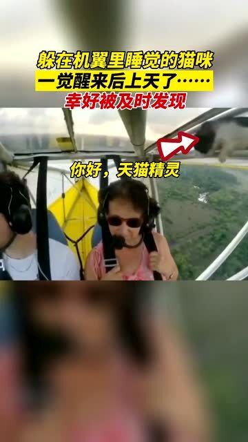 为什么我一觉睡醒后就会第一时间摸手机