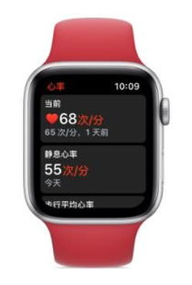 苹果手表静息心率怎么测