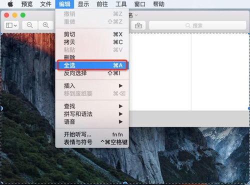mac自带画图工具在哪里