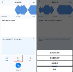 苹果语音输入转文字怎么用不了