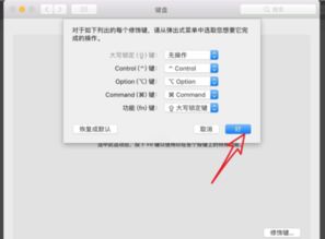 苹果mac如何打出大写字母