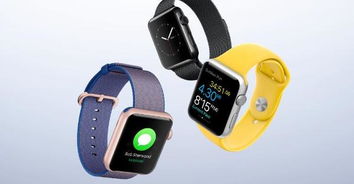 Apple Watch睡眠无数据什么原因