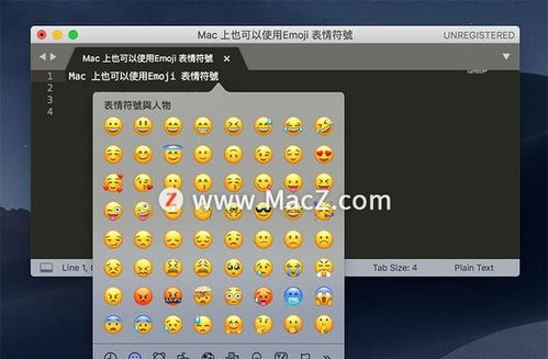 苹果电脑怎么输入表情Macbook笔记本怎么打emoji表情