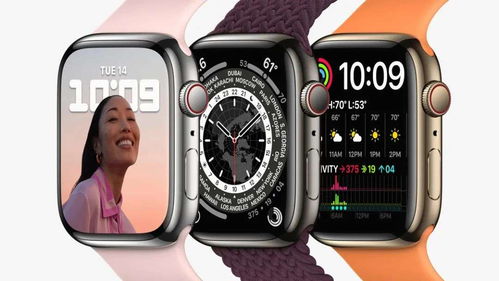 applewatch各个版本重量