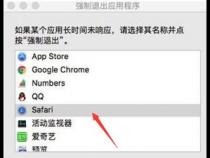 苹果电脑强制退出程序快捷键是什么