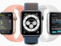 apple watch有什么实用的功能