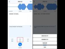 苹果语音输入转文字怎么用不了