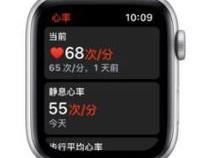 苹果手表静息心率怎么测