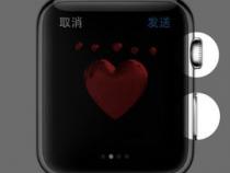 苹果侧边按钮是什么