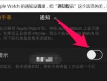 Apple Watch手表怎么关闭红点提示