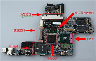 戴尔m4800可以自己换什么显卡