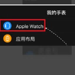 apple watch怎么配对手机怎么重新配对新手机