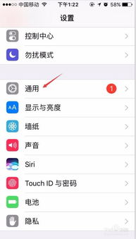 苹果手机设置上有个1字怎么取消
