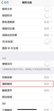 苹果手机主屏幕的控制按钮哪里设置