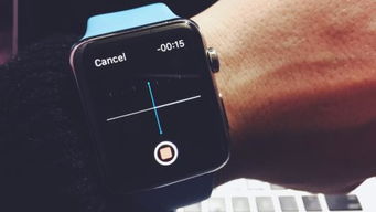 为什么我的Apple Watch上没有微信