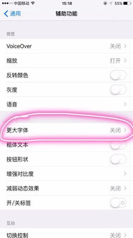 苹果怎么设置字体大小
