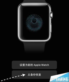 苹果手表iwatch耗电快怎么解决