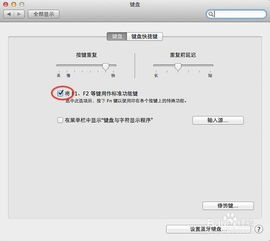 为什么双系统的mac windows系统的键盘失灵 苹果系统正常