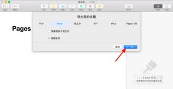 苹果mac 怎么能安装word文档