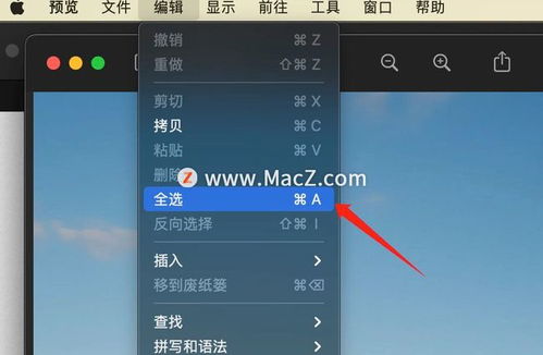 怎么在苹果电脑上画图苹果电脑自带的图画功能在哪