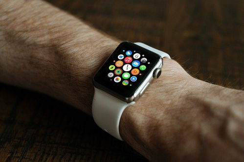 如何在apple watch上录制音频并同步到手机上
