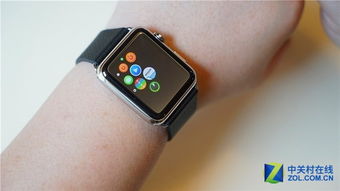 哪些人可能会买 Apple Watch
