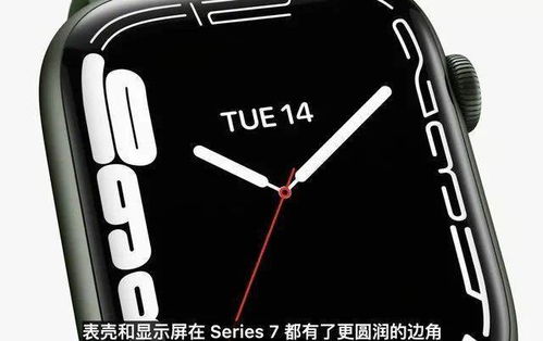 apple watch偏好手腕