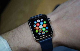 applewatch上滑下拉失灵