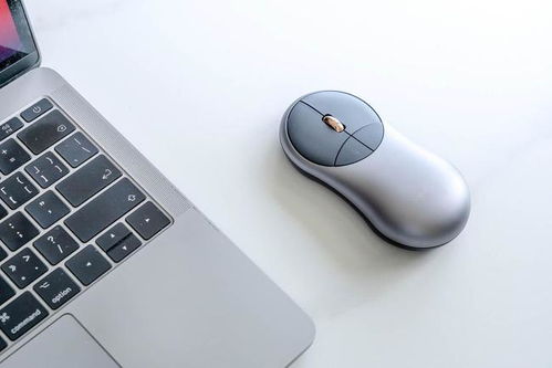 MacBook Pro 搭配什么鼠标好