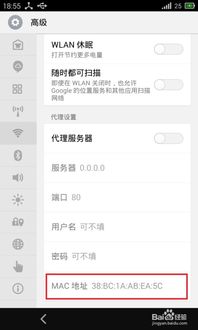 怎么查看安卓手机的MAC地址