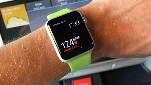 apple watch心率准吗
