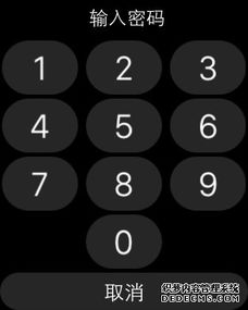 Apple Watch “密码错误” 问题解决 和 还原初始化方式