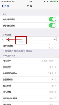 苹果怎么设置静音侧键