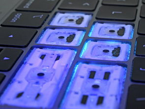 macbook官方不建议键盘膜吗