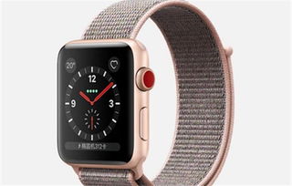 Apple Watch退货政策是什么怎么退货
