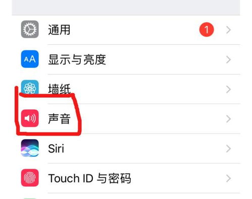 苹果14怎样静音不震动