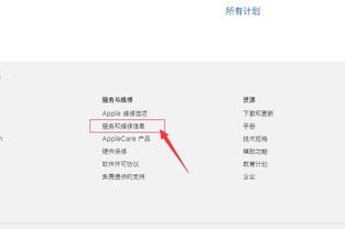 apple平板官方正品查询