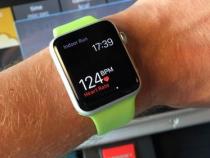 apple watch心率准吗