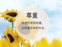 人生需要什么样的机会