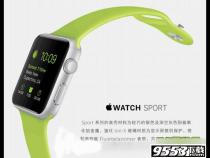 如何分辨apple watch普通版sport版edition版