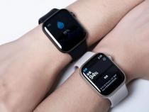 apple watch 可以测实时心率吗