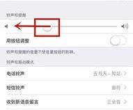 苹果怎么设置静音侧键