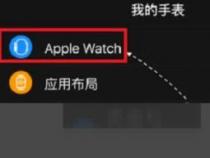 apple watch怎么配对手机怎么重新配对新手机